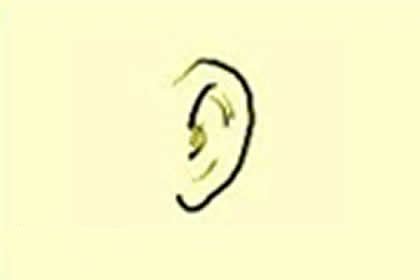 男人耳朵形状与命运图解_耳朵形状与命运图解耳轮突出,第19张